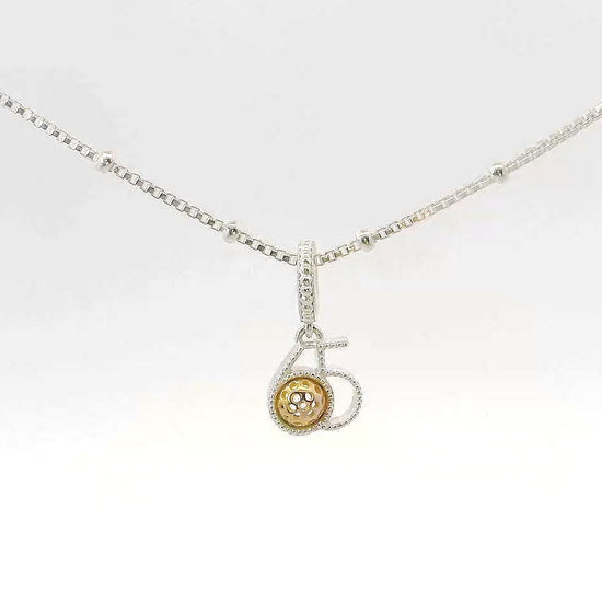 65 pickleball charm and chain, gold, silver